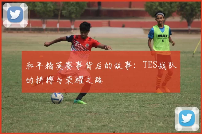 和平精英赛事背后的故事：TES战队的拼搏与荣耀之路