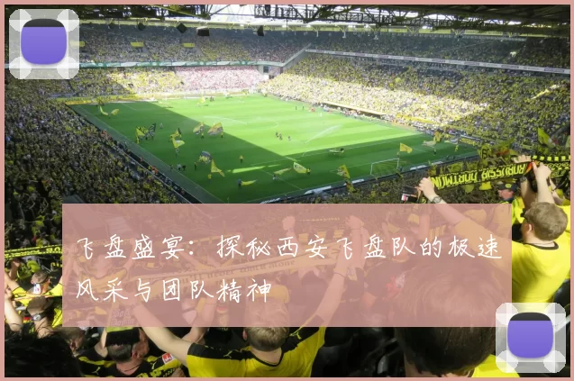 飞盘盛宴：探秘西安飞盘队的极速风采与团队精神