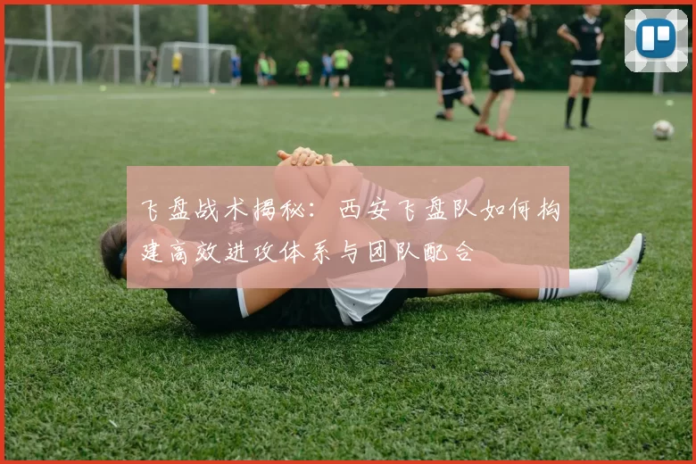 飞盘战术揭秘：西安飞盘队如何构建高效进攻体系与团队配合
