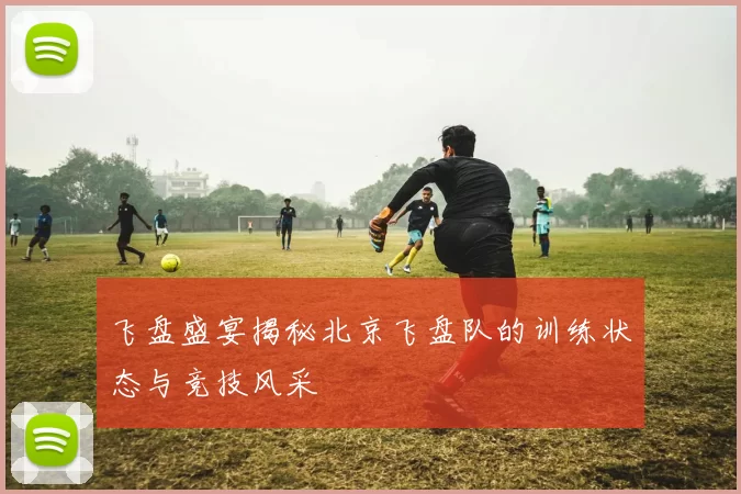 飞盘盛宴揭秘北京飞盘队的训练状态与竞技风采