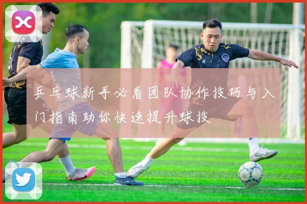 乒乓球新手必看团队协作技巧与入门指南助你快速提升球技