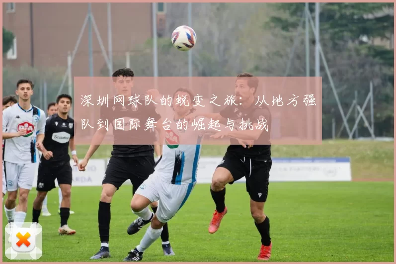 深圳网球队的蜕变之旅：从地方强队到国际舞台的崛起与挑战