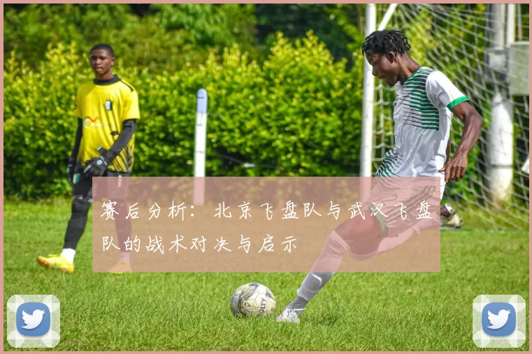 赛后分析：北京飞盘队与武汉飞盘队的战术对决与启示