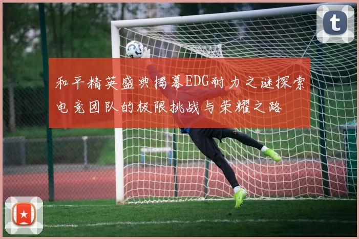 和平精英盛典揭幕EDG耐力之谜探索电竞团队的极限挑战与荣耀之路