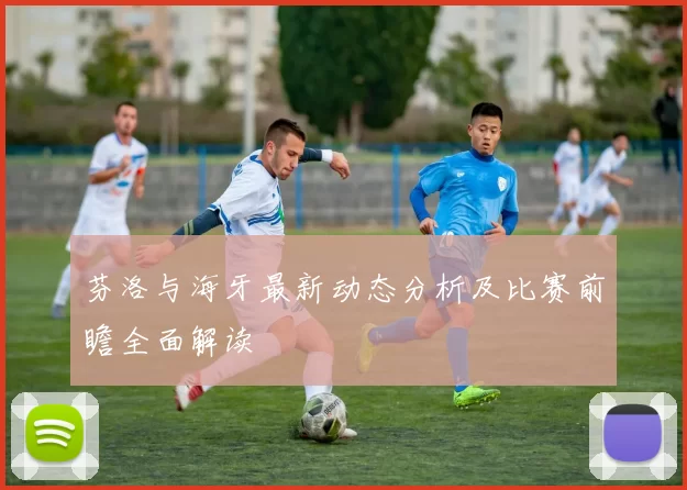 芬洛与海牙最新动态分析及比赛前瞻全面解读