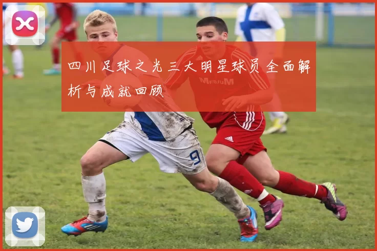 四川足球之光三大明星球员全面解析与成就回顾