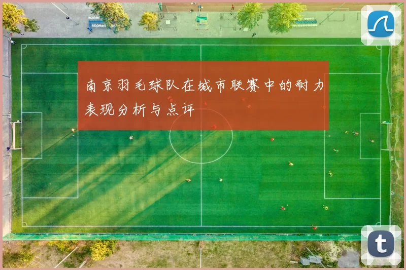 南京羽毛球队在城市联赛中的耐力表现分析与点评