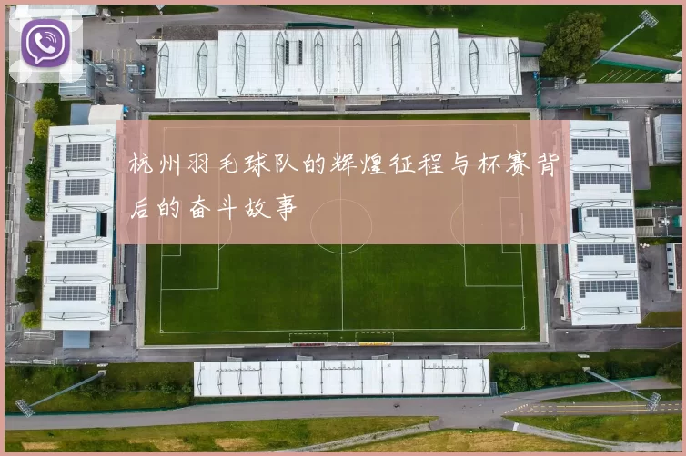 杭州羽毛球队的辉煌征程与杯赛背后的奋斗故事