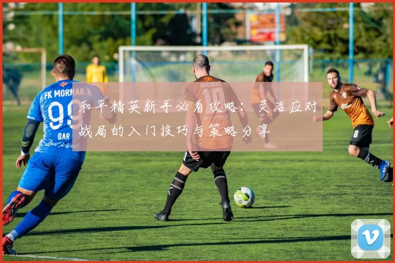 和平精英新手必看攻略：灵活应对战局的入门技巧与策略分享