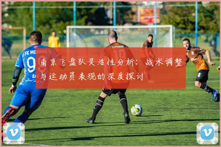 南京飞盘队灵活性分析：战术调整与运动员表现的深度探讨